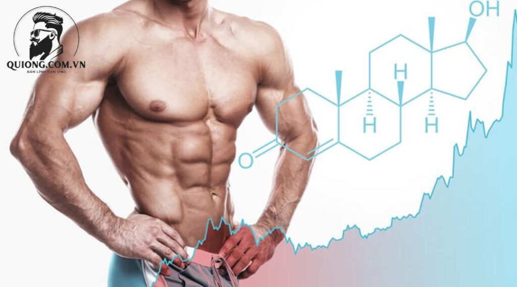 Lợi ích của tăng cường testosterone 