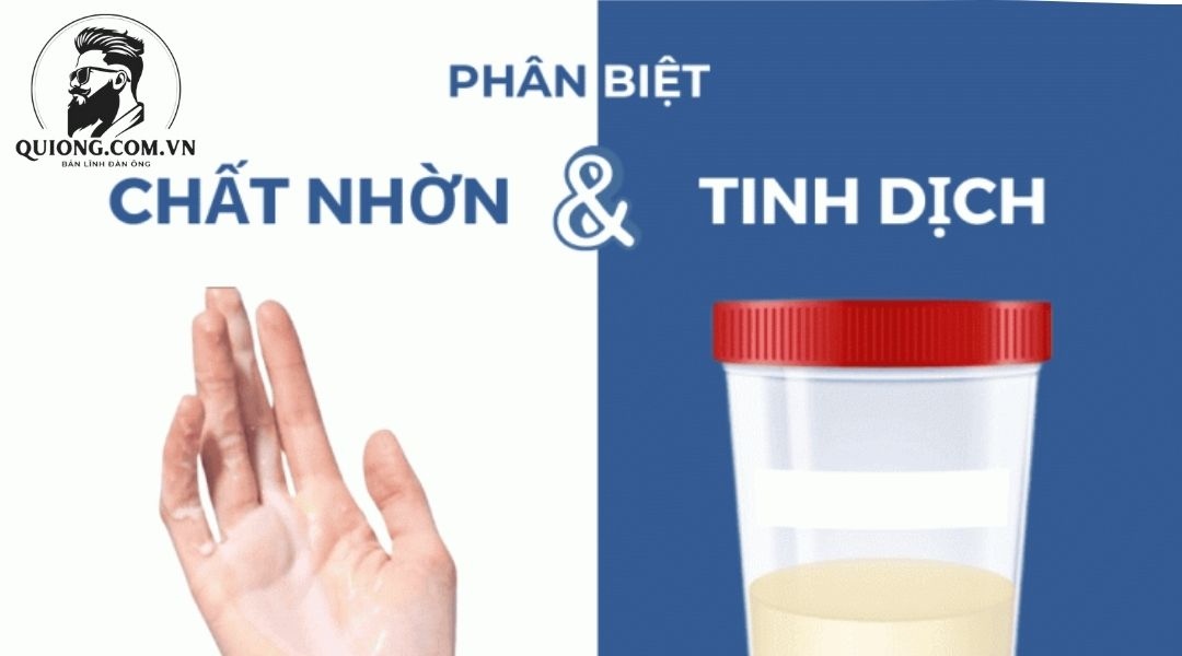 Sự khác biệt giữa chất nhờn và tinh dịch